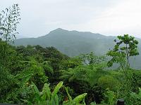 Martinique2003 059 